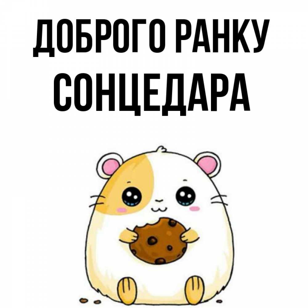 Открытка на каждый день з підписом, Сонцедара Доброго ранку есть печеньку. Утречко Прикольна листівка з побажанням онлайн скачати безкоштовно 