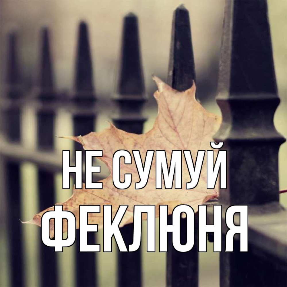Открытка на каждый день з підписом, Феклюня Не сумуй лист клена Прикольна листівка з побажанням онлайн скачати безкоштовно 
