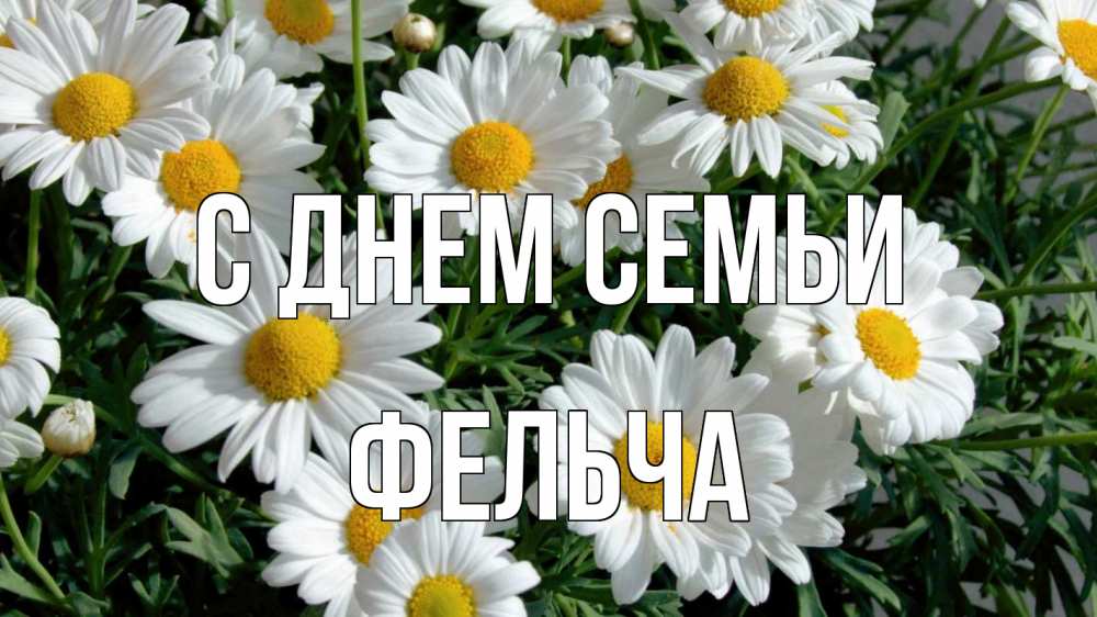 Открытка на каждый день з підписом, Фельча С днем семьи с днем семьи Прикольна листівка з побажанням онлайн скачати безкоштовно 