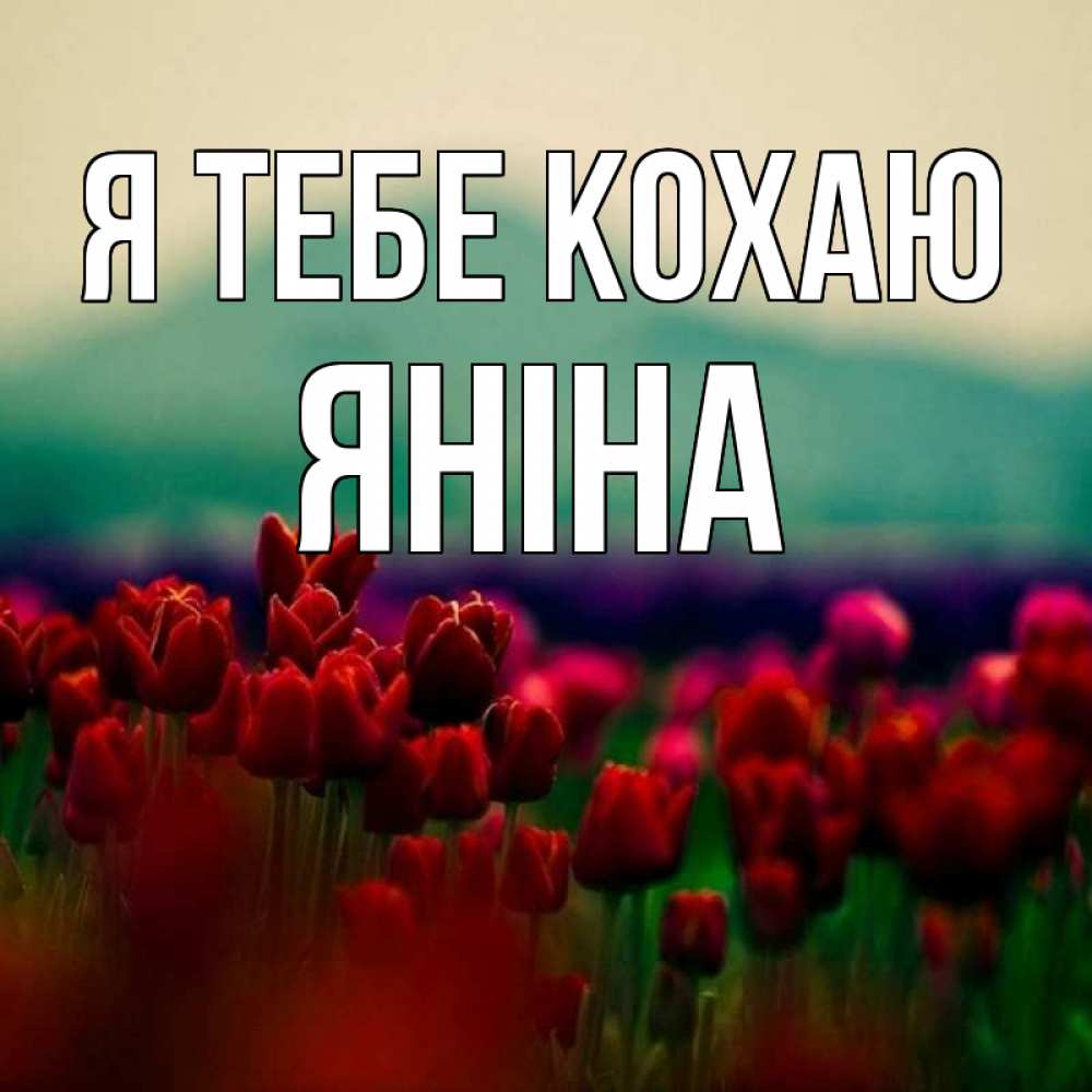 Открытка на каждый день з підписом, Яніна Я тебе кохаю тюльпаны 4 Прикольна листівка з побажанням онлайн скачати безкоштовно 