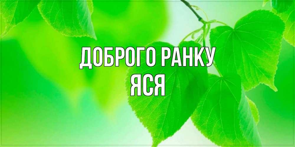 Открытка на каждый день з підписом, Яся Доброго ранку доброе утро с березовыми листьями Прикольна листівка з побажанням онлайн скачати безкоштовно 
