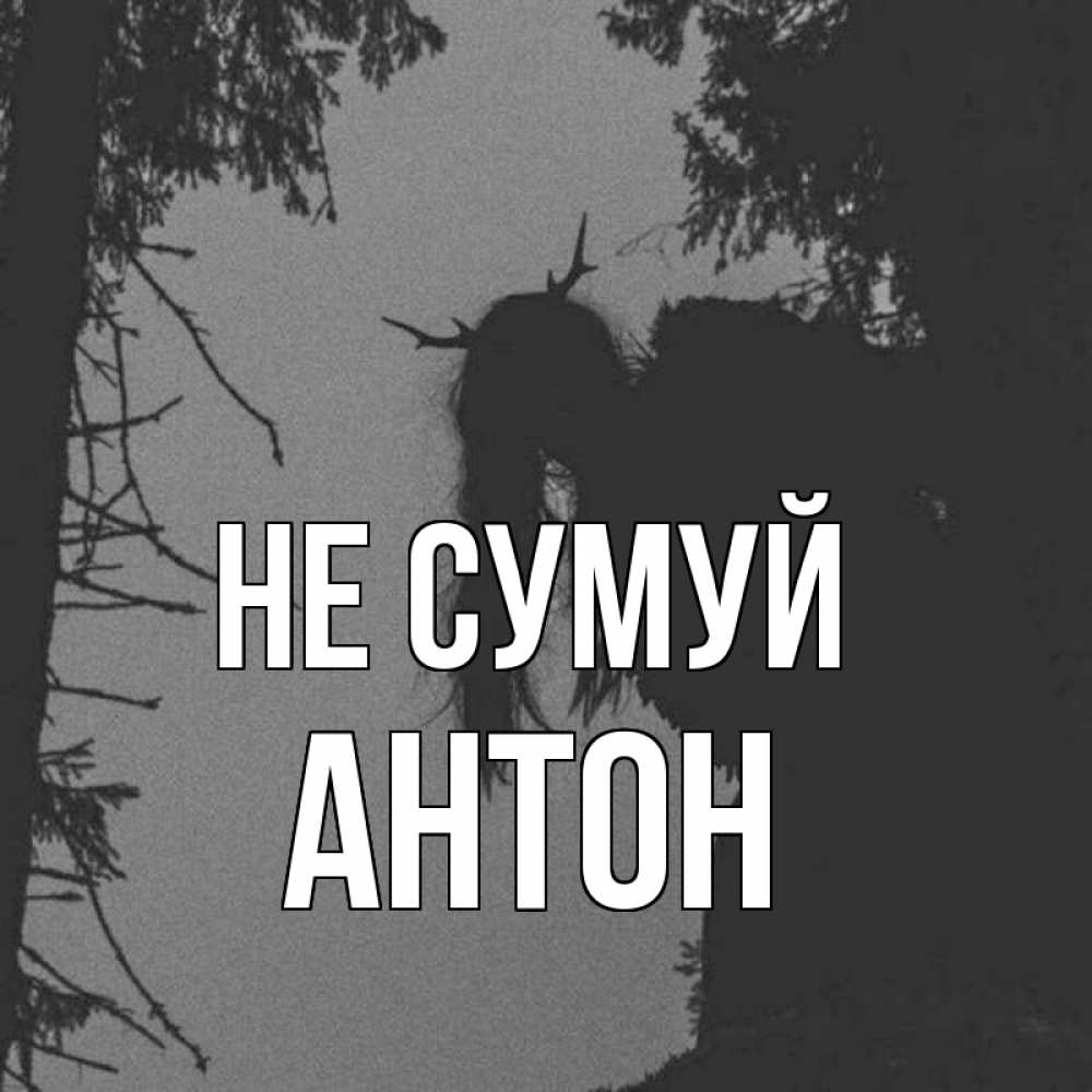 Открытка на каждый день з підписом, Антон Не сумуй чудище лесное Прикольна листівка з побажанням онлайн скачати безкоштовно 
