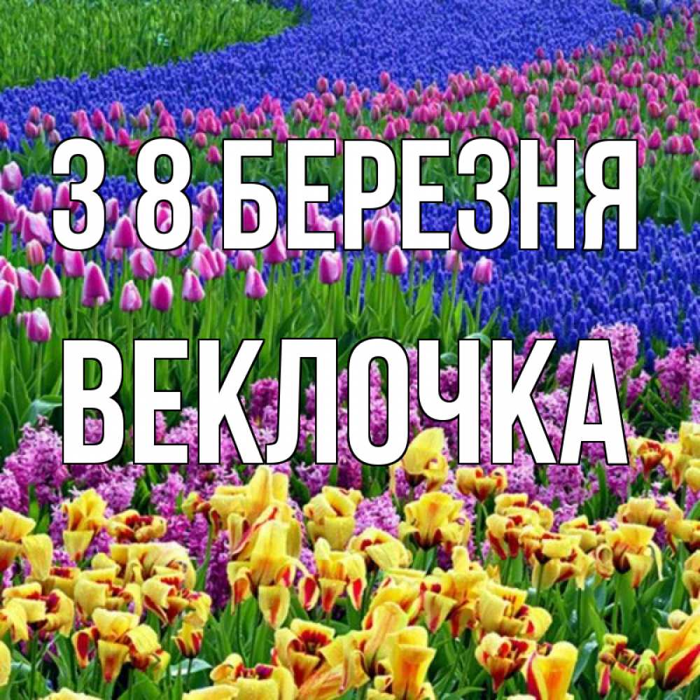 Открытка на каждый день з підписом, Веклочка З 8 БЕРЕЗНЯ цветы Прикольна листівка з побажанням онлайн скачати безкоштовно 