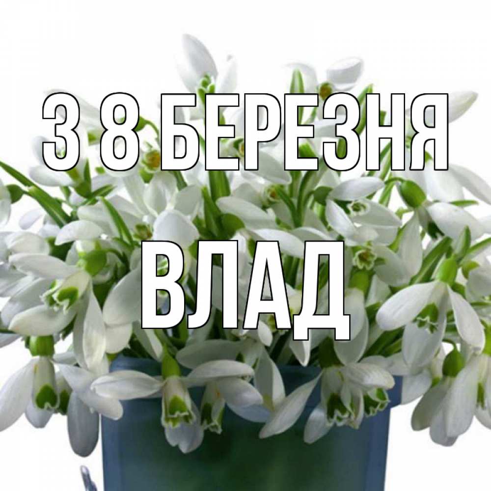 Открытка на каждый день з підписом, Влад З 8 БЕРЕЗНЯ цветы к международному женскому дню Прикольна листівка з побажанням онлайн скачати безкоштовно 