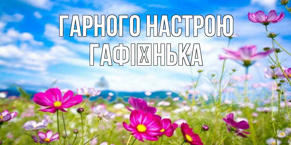 Открытка на каждый день з підписом, Гафієнька Гарного настрою поле цветов Прикольна листівка з побажанням онлайн скачати безкоштовно 