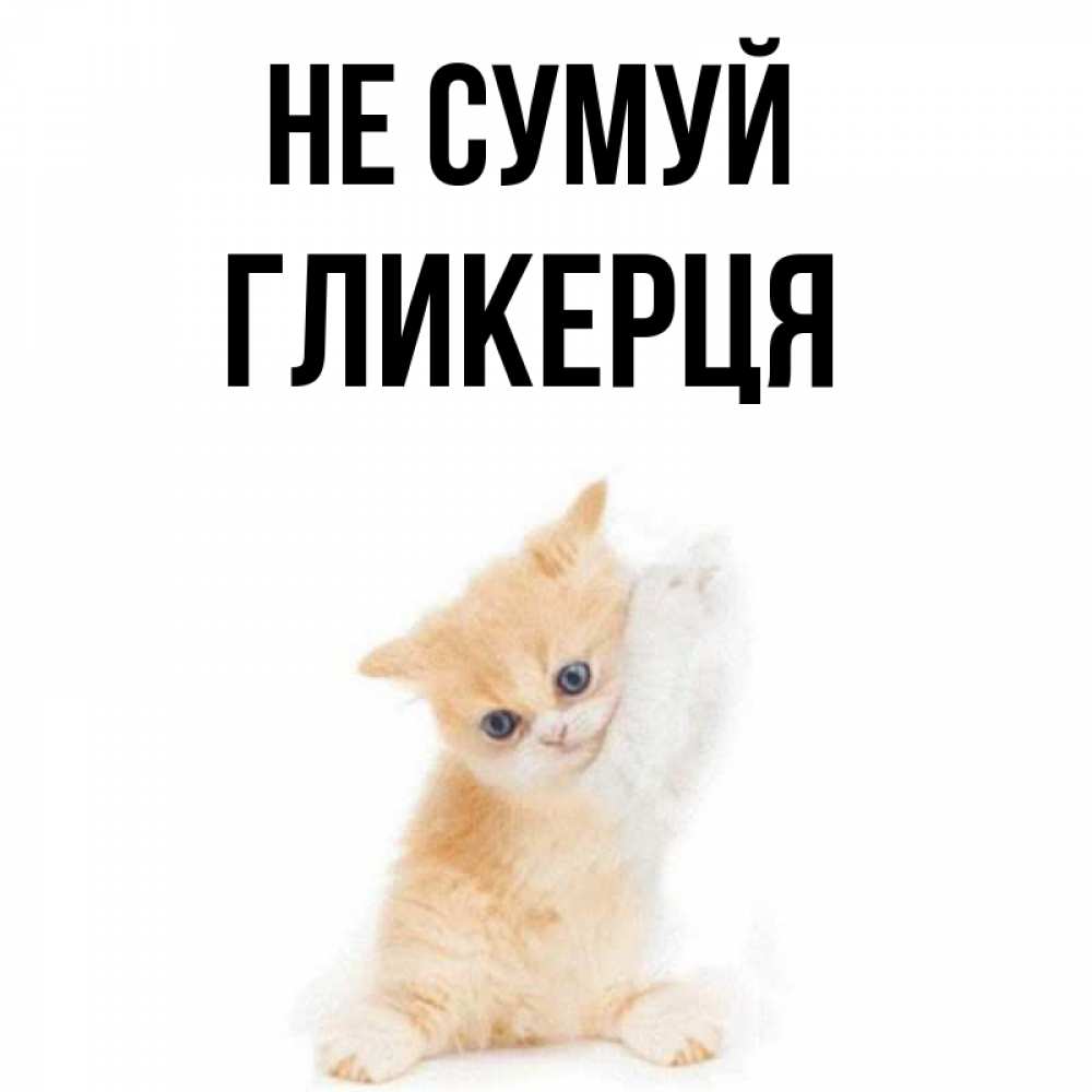 Открытка на каждый день з підписом, Гликерця Не сумуй просящий кот Прикольна листівка з побажанням онлайн скачати безкоштовно 