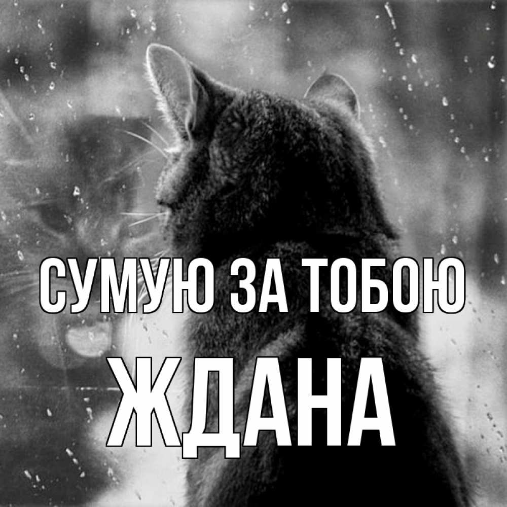 Открытка на каждый день з підписом, Ждана Сумую за тобою скорее ко мне приходи 1 Прикольна листівка з побажанням онлайн скачати безкоштовно 