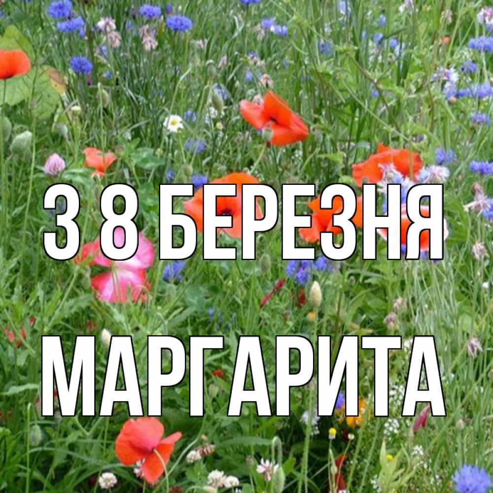Открытка на каждый день з підписом, Маргарита З 8 БЕРЕЗНЯ международный женский день 4 Прикольна листівка з побажанням онлайн скачати безкоштовно 