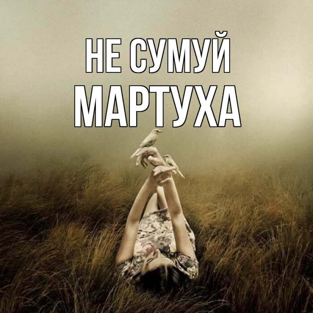 Открытка на каждый день з підписом, Мартуха Не сумуй поле и туман Прикольна листівка з побажанням онлайн скачати безкоштовно 