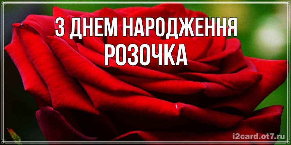 Открытка на каждый день з підписом, Розочка З Днем народження розочка очень красивая Прикольна листівка з побажанням онлайн скачати безкоштовно 