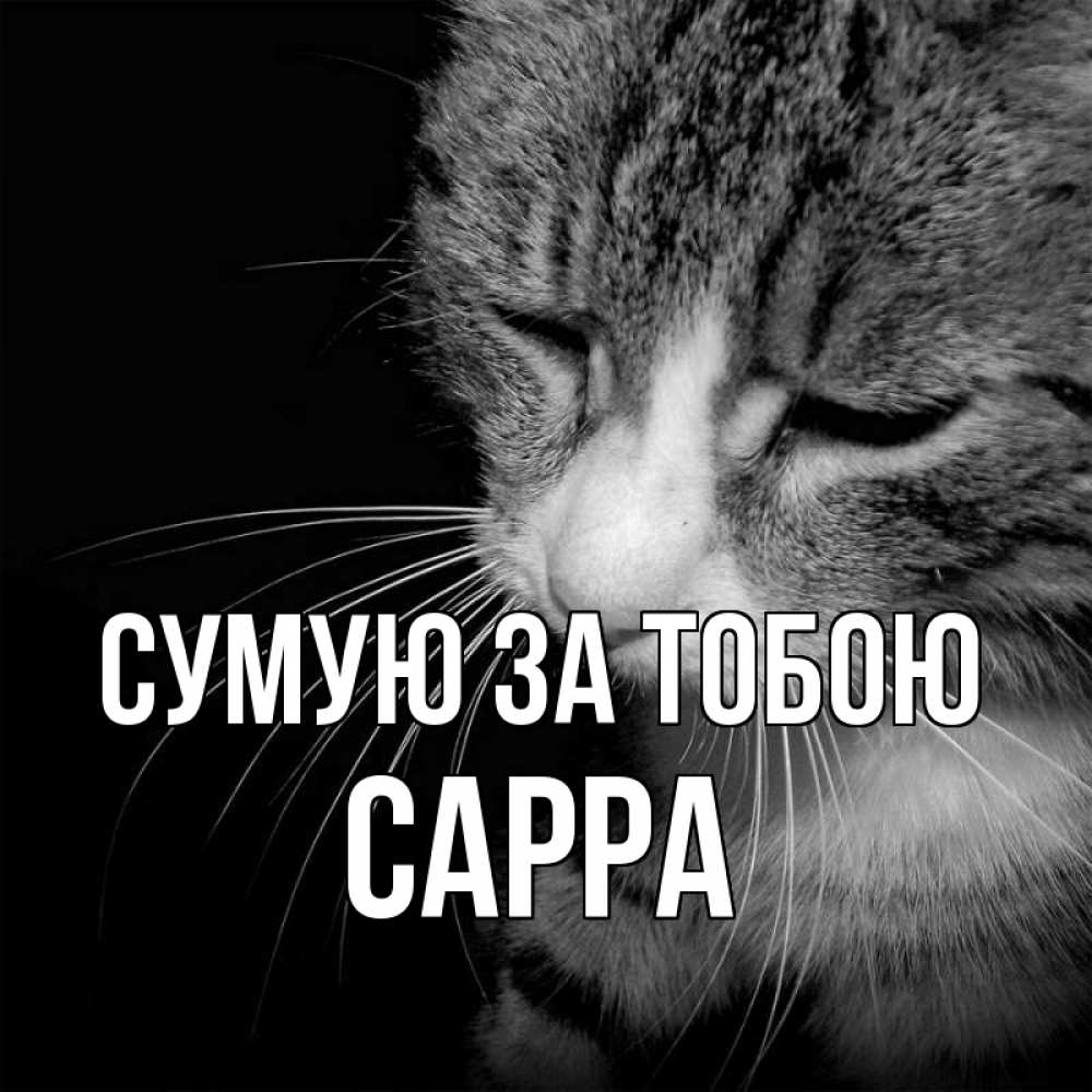 Открытка на каждый день з підписом, Сарра Сумую за тобою мне скучно Прикольна листівка з побажанням онлайн скачати безкоштовно 