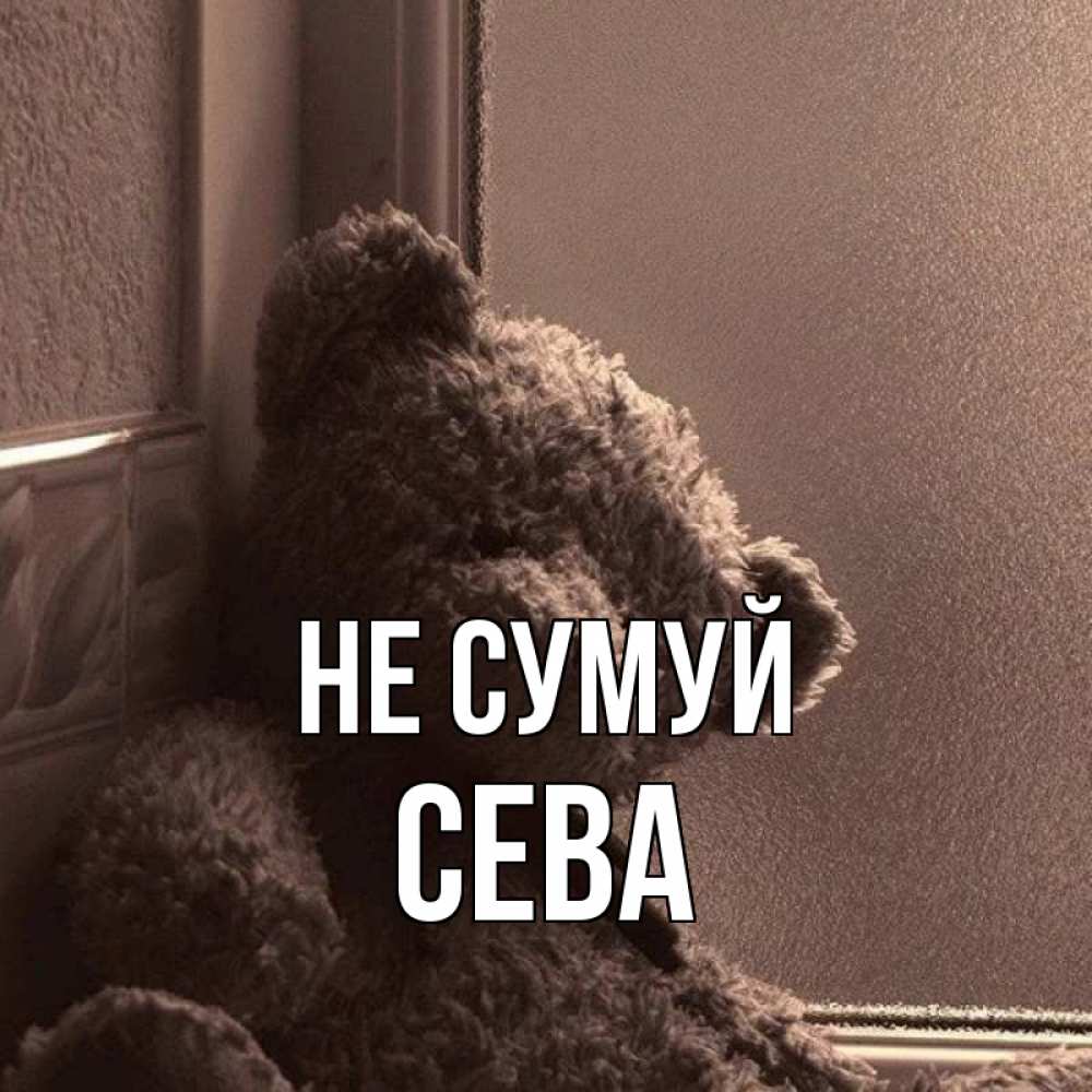 Открытка на каждый день з підписом, Сева Не сумуй стекол рефленое Прикольна листівка з побажанням онлайн скачати безкоштовно 