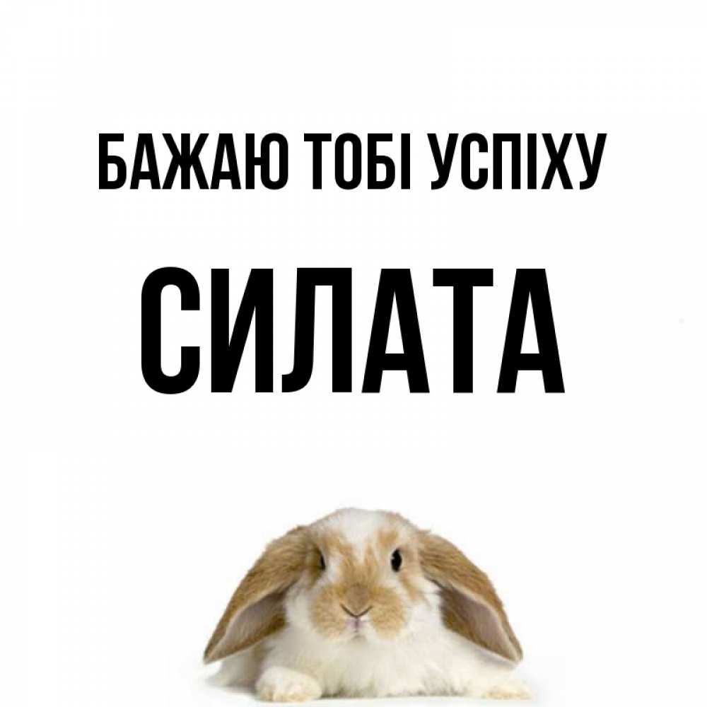 Открытка на каждый день з підписом, Силата Бажаю тобі успіху открытки с произвольным текстом который можно вставить в открытку и создать ее самостоятельно бесплатно онлайн Прикольна листівка з побажанням онлайн скачати безкоштовно 