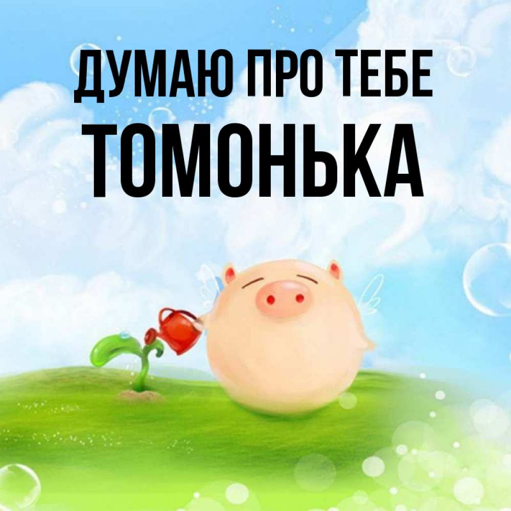 Открытка на каждый день з підписом, Томонька Думаю про тебе позитивная свинюшка Прикольна листівка з побажанням онлайн скачати безкоштовно 