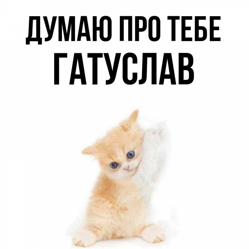 Открытка на каждый день з підписом, Гатуслав Думаю про тебе зверушки и милота Прикольна листівка з побажанням онлайн скачати безкоштовно 