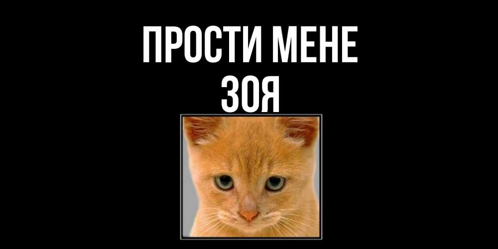 Открытка на каждый день з підписом, Зоя Прости мене рыжий грустный кот просит прощения Прикольна листівка з побажанням онлайн скачати безкоштовно 