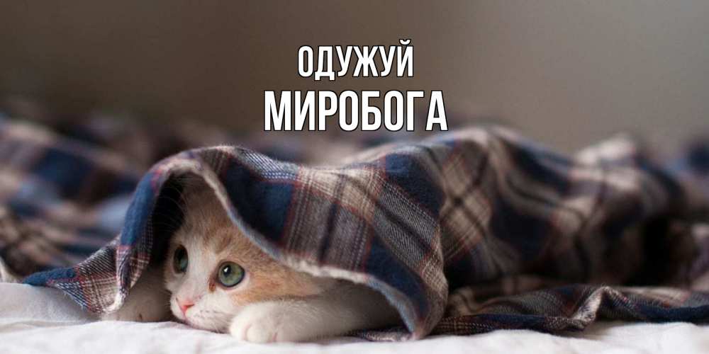 Открытка на каждый день з підписом, Миробога Одужуй не болейте с котиком Прикольна листівка з побажанням онлайн скачати безкоштовно 