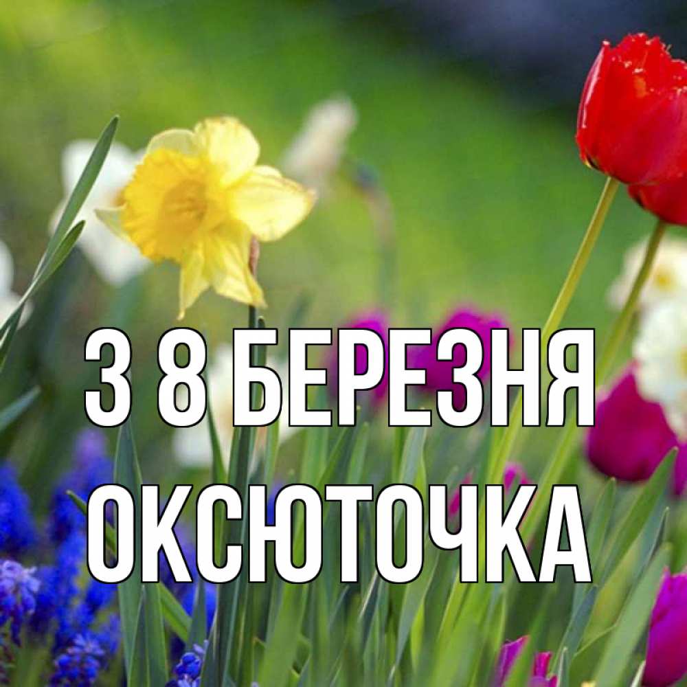 Открытка на каждый день з підписом, Оксюточка З 8 БЕРЕЗНЯ международный женский день 3 Прикольна листівка з побажанням онлайн скачати безкоштовно 