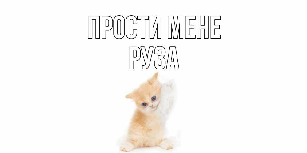 Открытка на каждый день з підписом, Руза Прости мене кот Прикольна листівка з побажанням онлайн скачати безкоштовно 