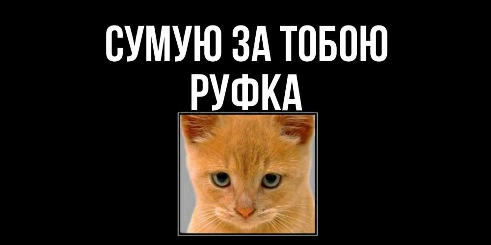 Открытка на каждый день з підписом, Руфка Сумую за тобою открытки рыжий котенок скучает по тебе Прикольна листівка з побажанням онлайн скачати безкоштовно 