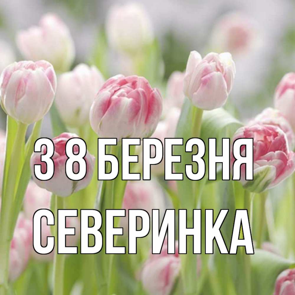 Открытка на каждый день з підписом, Северинка З 8 БЕРЕЗНЯ цветы Прикольна листівка з побажанням онлайн скачати безкоштовно 