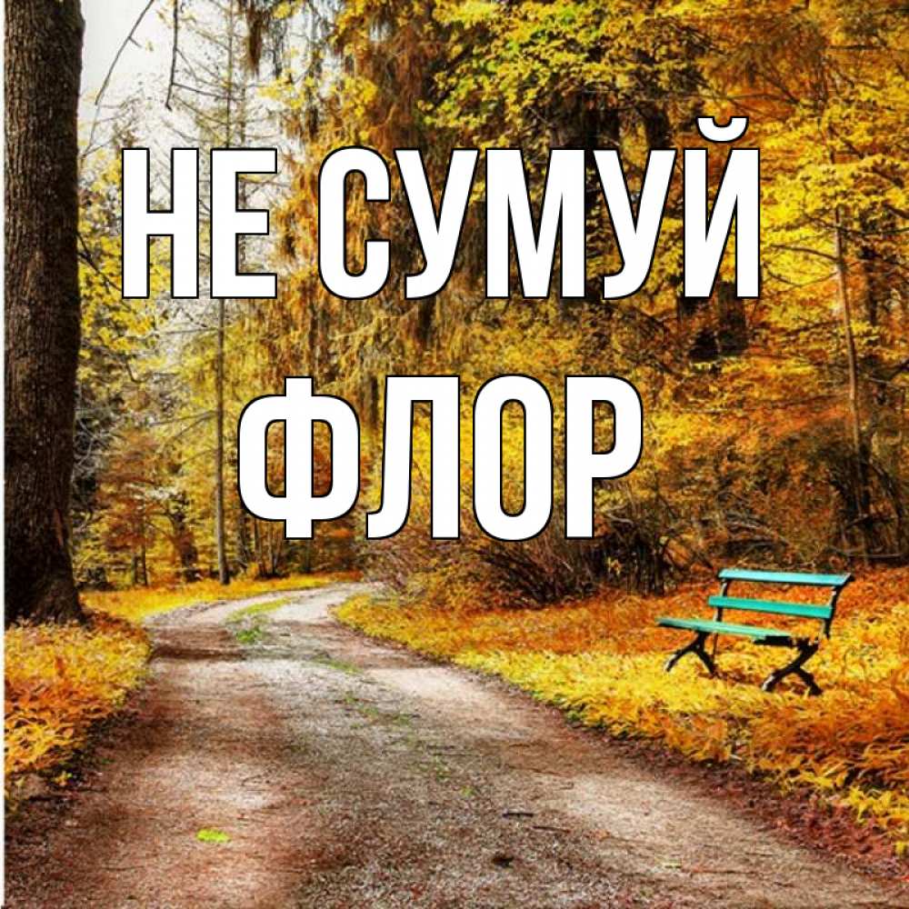Открытка на каждый день з підписом, Флор Не сумуй зеленая лавочка Прикольна листівка з побажанням онлайн скачати безкоштовно 