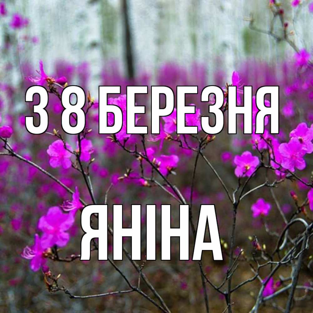 Открытка на каждый день з підписом, Яніна З 8 БЕРЕЗНЯ дикие цветы Прикольна листівка з побажанням онлайн скачати безкоштовно 