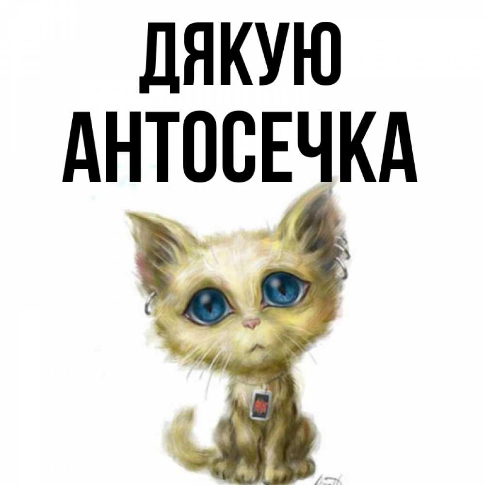 Открытка на каждый день з підписом, Антосечка Дякую рисованный кот благодарит вас Прикольна листівка з побажанням онлайн скачати безкоштовно 