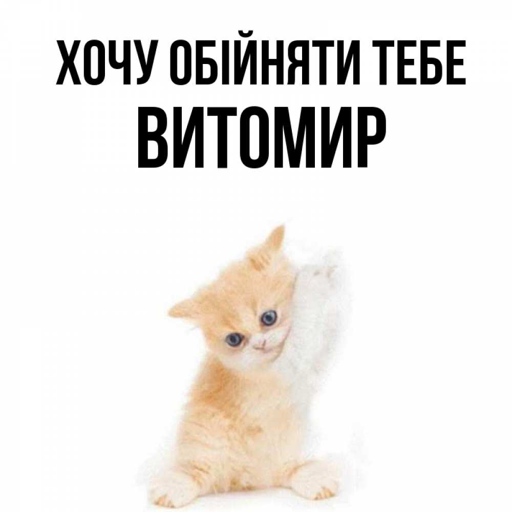 Открытка на каждый день з підписом, Витомир Хочу обійняти тебе я хочу очень скорее обнимаешек Прикольна листівка з побажанням онлайн скачати безкоштовно 