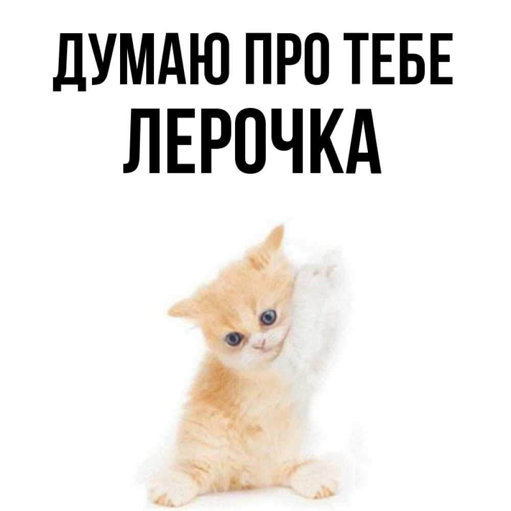 Открытка на каждый день з підписом, Лерочка Думаю про тебе зверушки и милота Прикольна листівка з побажанням онлайн скачати безкоштовно 