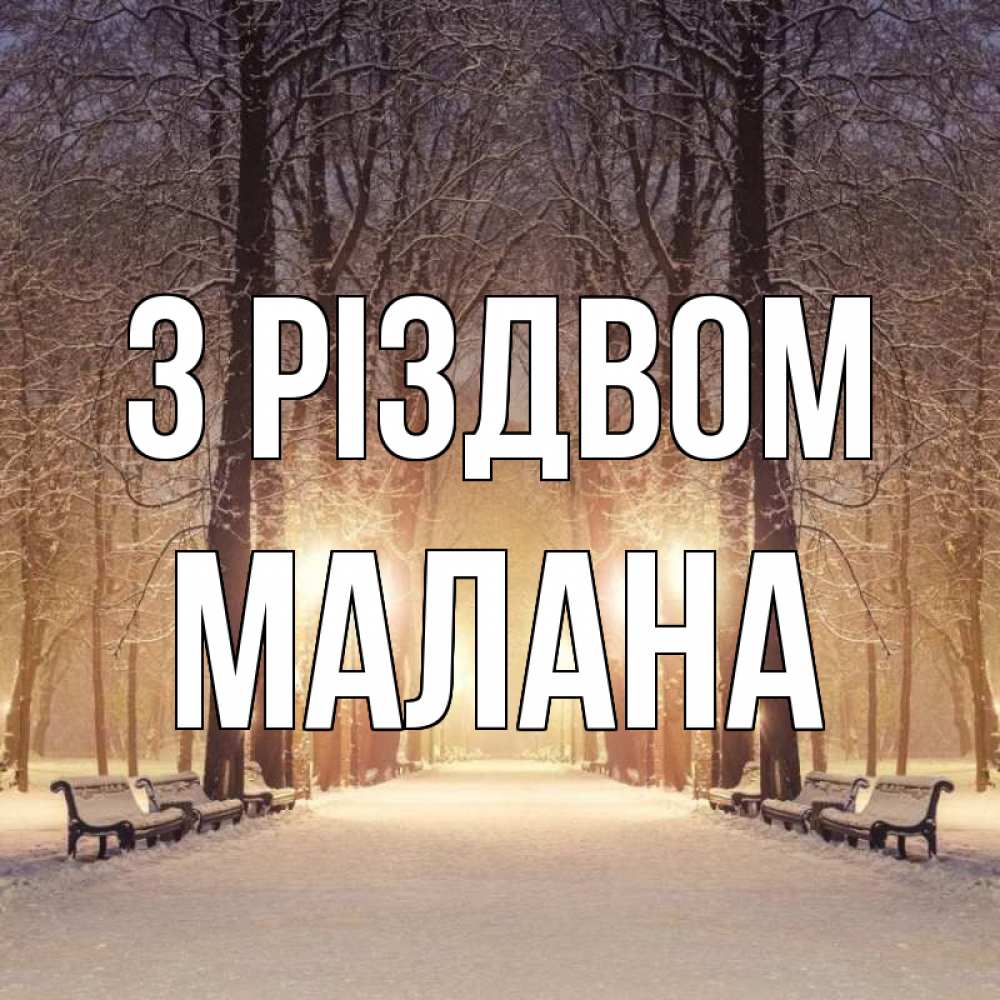 Открытка на каждый день з підписом, Малана З Різдвом зима, парк, фонарь, лес Прикольна листівка з побажанням онлайн скачати безкоштовно 