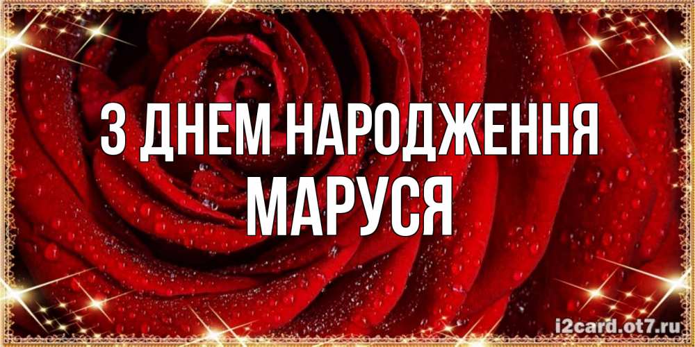 Открытка на каждый день з підписом, Маруся З Днем народження роса на розе блестящая в лучах солнца Прикольна листівка з побажанням онлайн скачати безкоштовно 