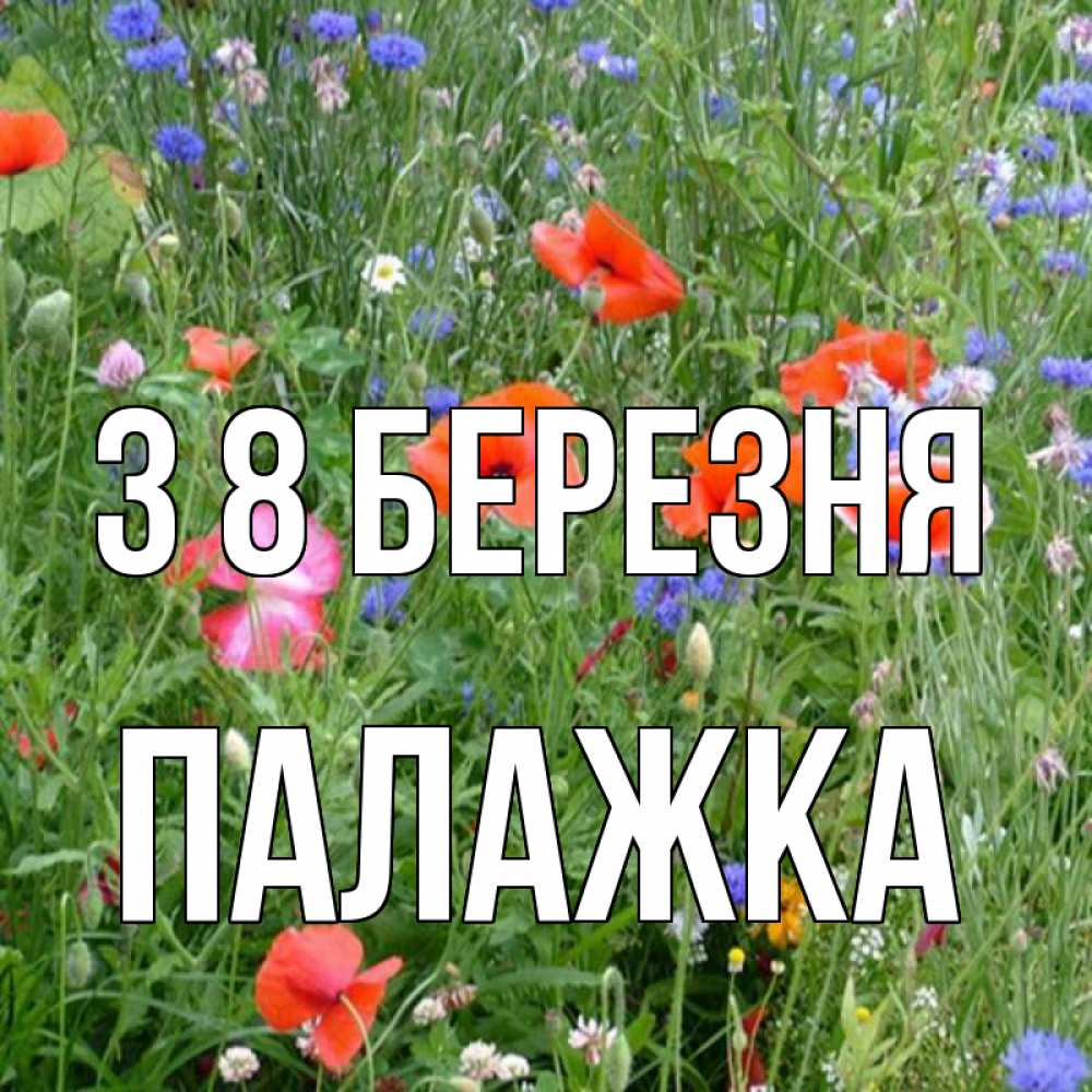 Открытка на каждый день з підписом, Палажка З 8 БЕРЕЗНЯ международный женский день 4 Прикольна листівка з побажанням онлайн скачати безкоштовно 
