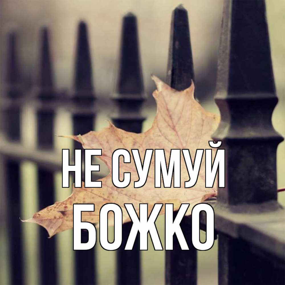 Открытка на каждый день з підписом, Божко Не сумуй лист клена Прикольна листівка з побажанням онлайн скачати безкоштовно 