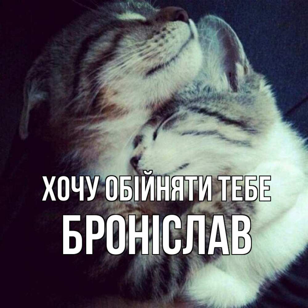 Открытка на каждый день з підписом, Броніслав Хочу обійняти тебе полосатики Прикольна листівка з побажанням онлайн скачати безкоштовно 