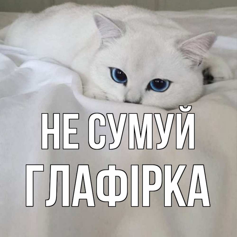 Открытка на каждый день з підписом, Глафірка Не сумуй белый кот с голубыми глазами на белоснежной кровати Прикольна листівка з побажанням онлайн скачати безкоштовно 