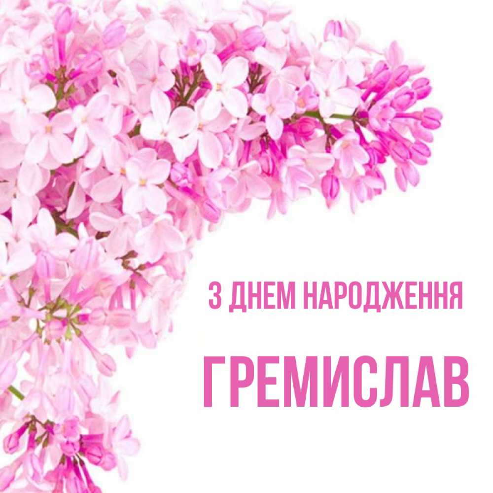 Открытка на каждый день з підписом, Гремислав З Днем народження Сирень на белом фоне Прикольна листівка з побажанням онлайн скачати безкоштовно 
