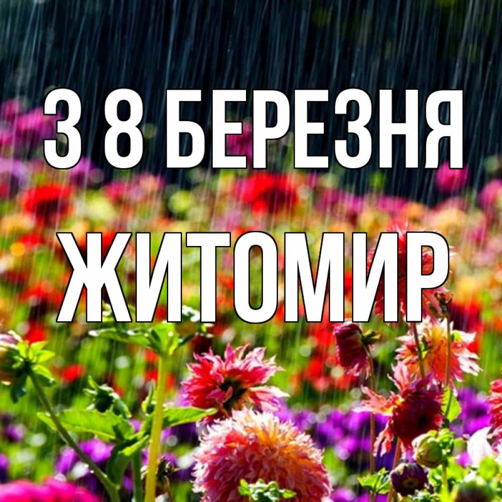 Открытка на каждый день з підписом, Житомир З 8 БЕРЕЗНЯ цветы под дождиком к международному женскому дню Прикольна листівка з побажанням онлайн скачати безкоштовно 