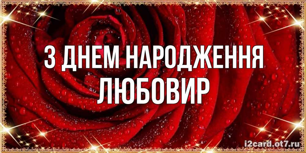Открытка на каждый день з підписом, Любовир З Днем народження роса на розе блестящая в лучах солнца Прикольна листівка з побажанням онлайн скачати безкоштовно 