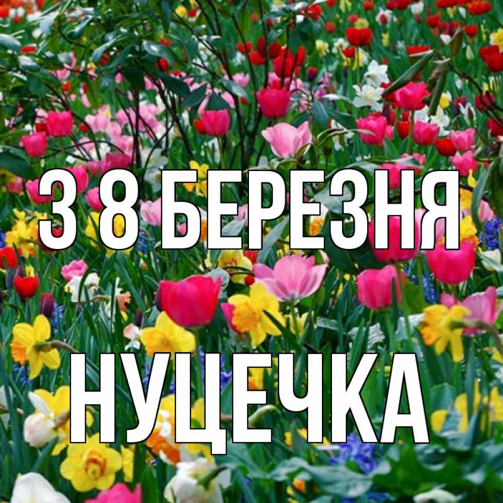 Открытка на каждый день з підписом, Нуцечка З 8 БЕРЕЗНЯ с международным женским днем поздравления для женщины Прикольна листівка з побажанням онлайн скачати безкоштовно 