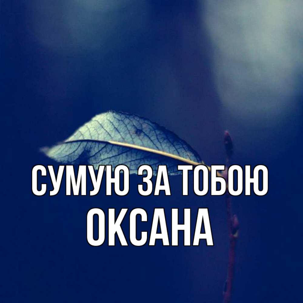 Открытка на каждый день з підписом, Оксана Сумую за тобою одна ветка 1 Прикольна листівка з побажанням онлайн скачати безкоштовно 