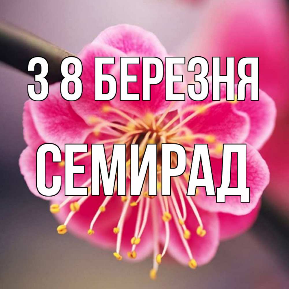 Открытка на каждый день з підписом, Семирад З 8 БЕРЕЗНЯ цветы Прикольна листівка з побажанням онлайн скачати безкоштовно 