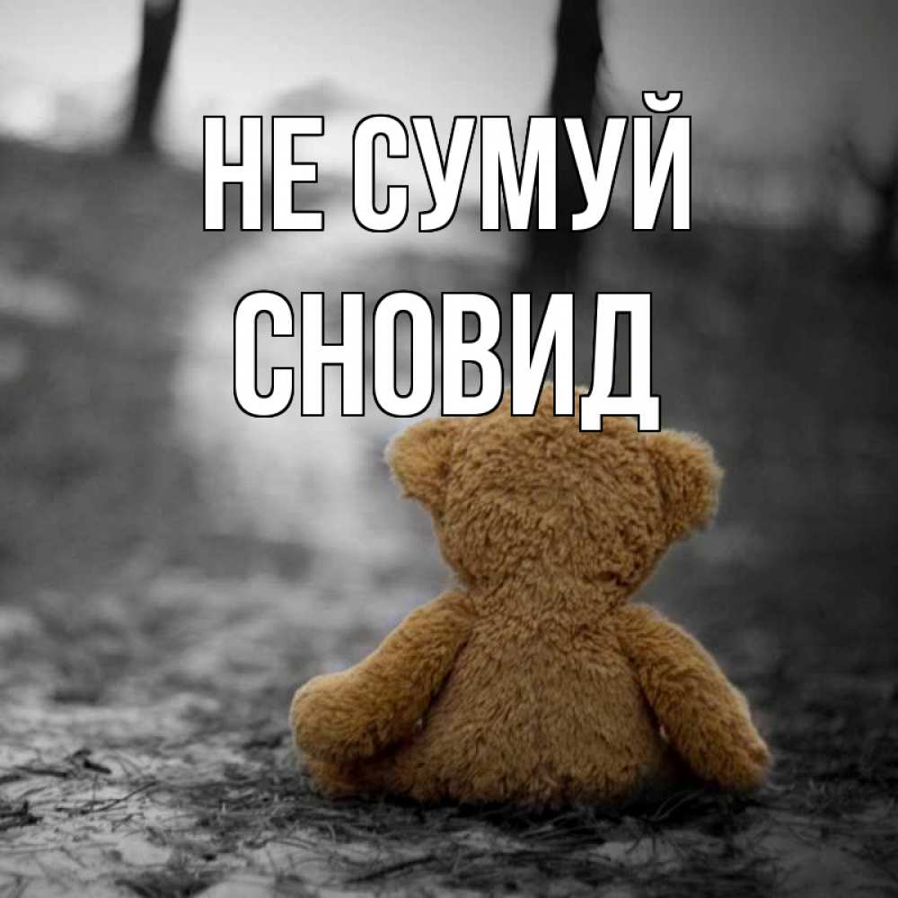 Открытка на каждый день з підписом, Сновид Не сумуй медведь со спин Прикольна листівка з побажанням онлайн скачати безкоштовно 