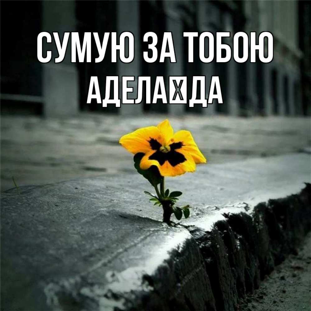 Открытка на каждый день з підписом, Аделаїда Сумую за тобою надеюсь будет лучше Прикольна листівка з побажанням онлайн скачати безкоштовно 