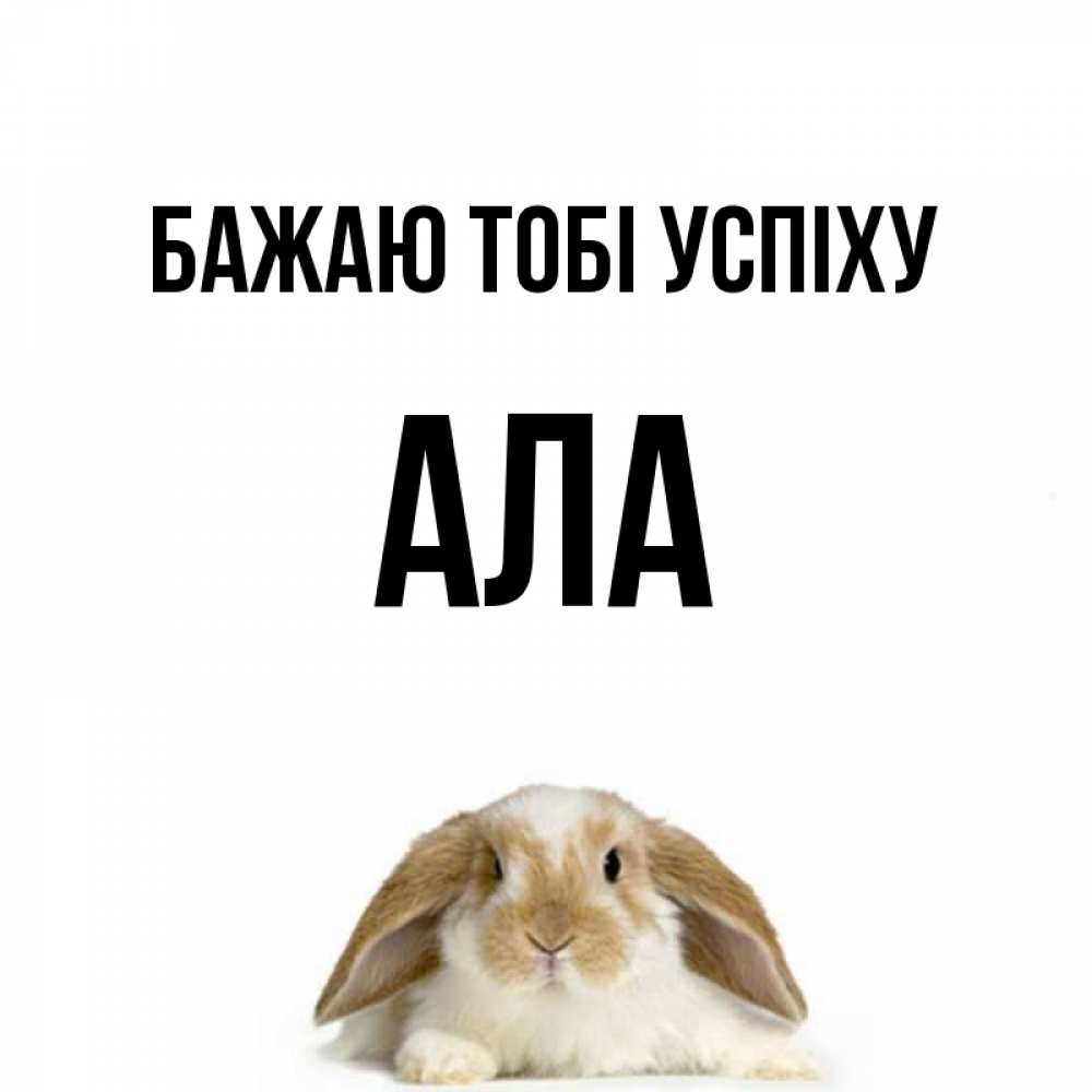 Открытка на каждый день з підписом, Ала Бажаю тобі успіху открытки с произвольным текстом который можно вставить в открытку и создать ее самостоятельно бесплатно онлайн Прикольна листівка з побажанням онлайн скачати безкоштовно 