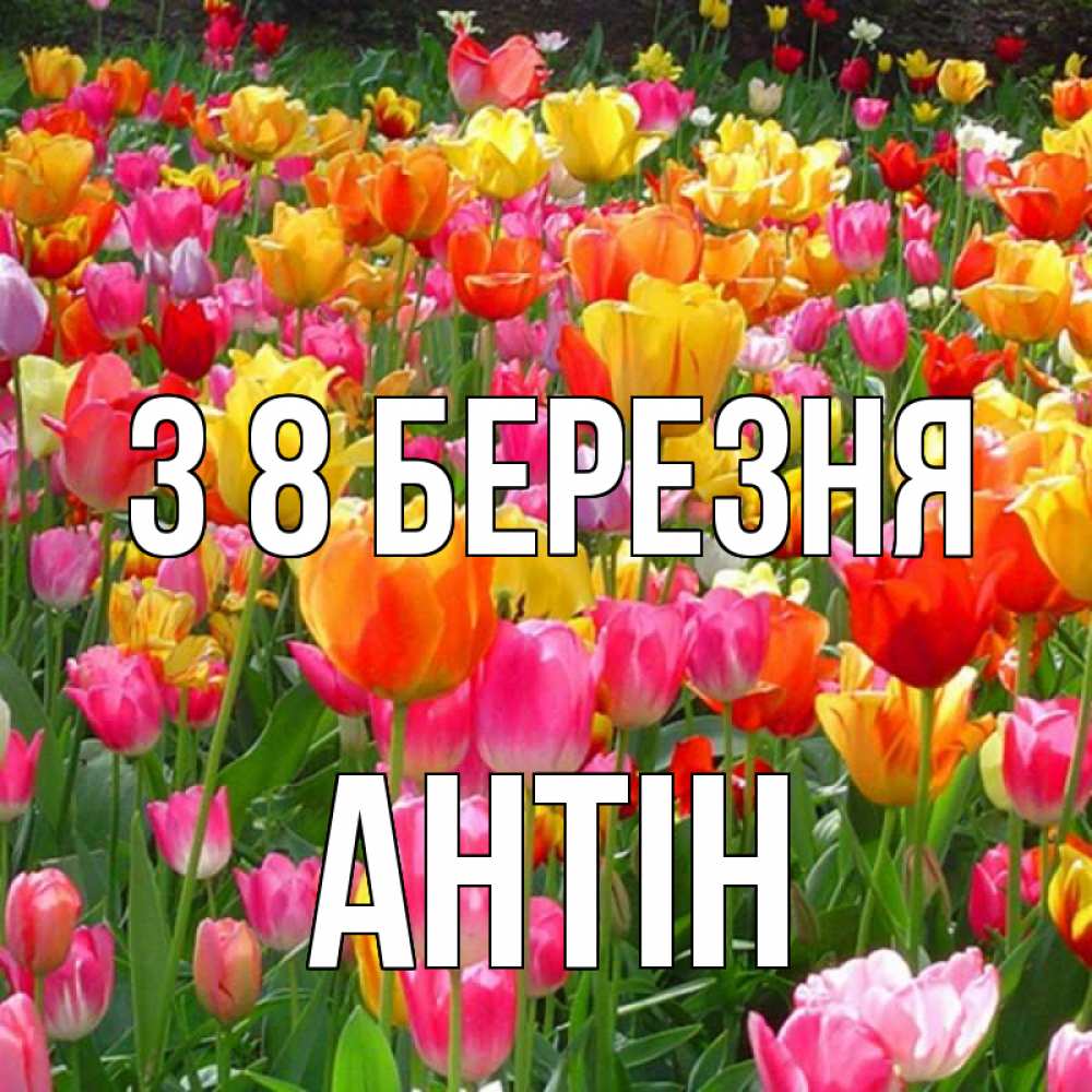 Открытка на каждый день з підписом, Антін З 8 БЕРЕЗНЯ на международный женский день Прикольна листівка з побажанням онлайн скачати безкоштовно 