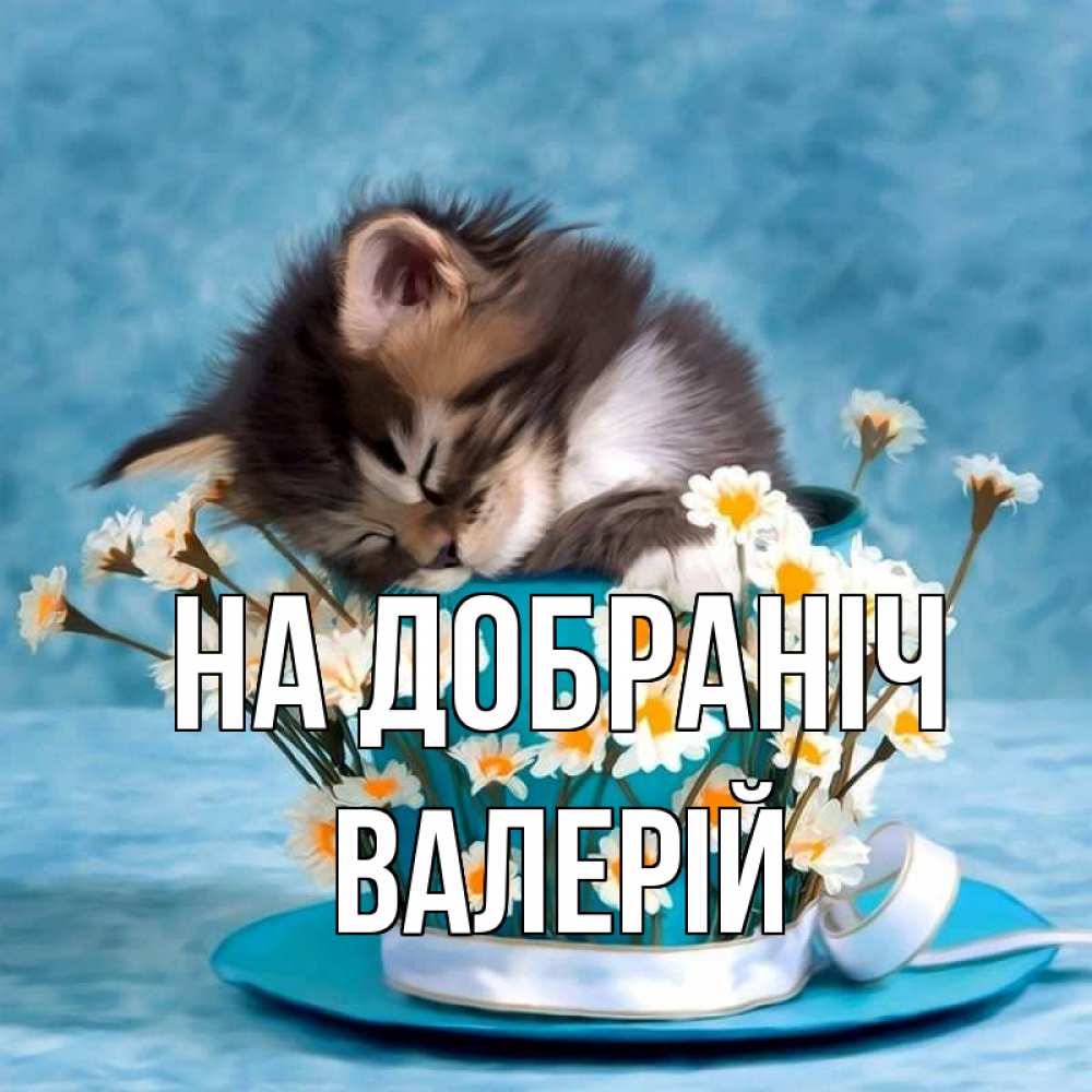 Открытка на каждый день з підписом, Валерій На добраніч котенок спит в кружке с блюдцем Прикольна листівка з побажанням онлайн скачати безкоштовно 