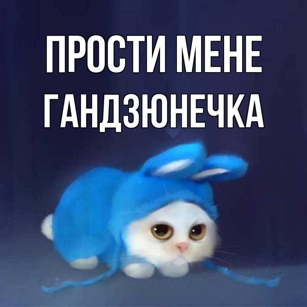 Открытка на каждый день з підписом, Гандзюнечка Прости мене невинный котозай просит прощения Прикольна листівка з побажанням онлайн скачати безкоштовно 