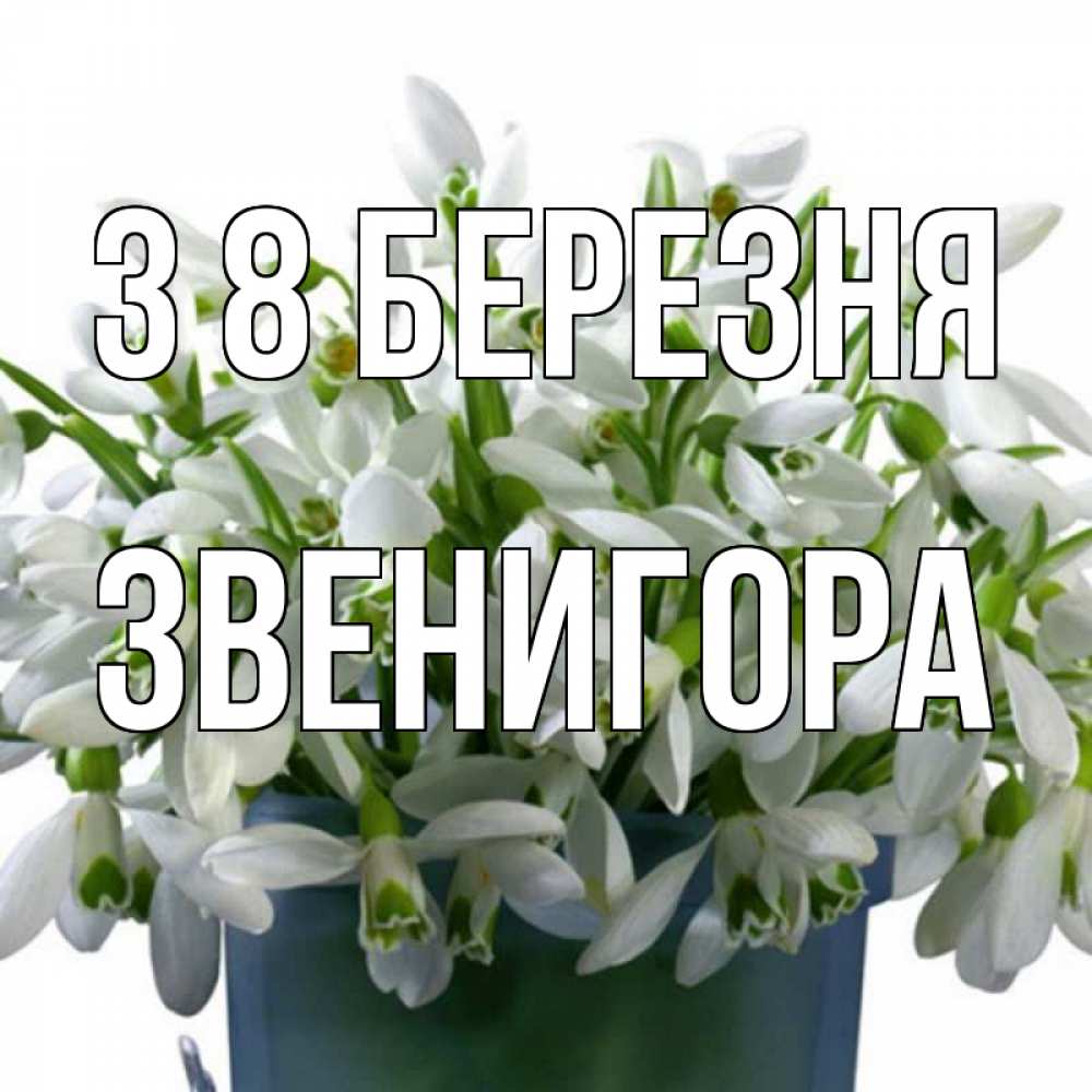 Открытка на каждый день з підписом, Звенигора З 8 БЕРЕЗНЯ цветы к международному женскому дню Прикольна листівка з побажанням онлайн скачати безкоштовно 