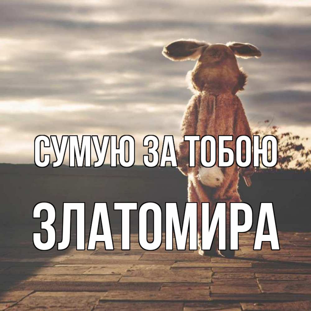 Открытка на каждый день з підписом, Златомира Сумую за тобою даже в костюме зайца Прикольна листівка з побажанням онлайн скачати безкоштовно 